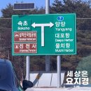 쿡캣 | 속초 | 수영장과 사우나가 있는 체스터톤스 속초 숙박 후기