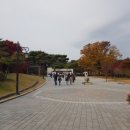 무령왕릉 | 공주 가을 여행 송산리 고분군 무령왕릉 관람 후기