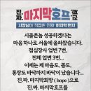 진짜마지막호프