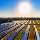 초석태양광발전소 이미지