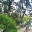 조경나라익산