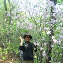 샘재로 3 이미지