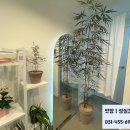 커피가게24 평촌샘마을점
