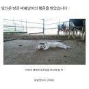 따봉 - 제주시 삼무로 40 | 따봉