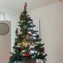 (주)나누리투어 | 12월 셋째주 일상 :: Merry Christmas! :: 연말휴가를 맞아 병원투어 시작 ::