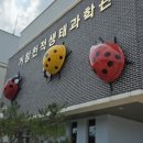 사과테마파크사과관 네이버블로그