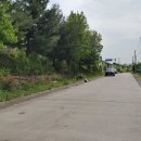 소로3-110 이미지