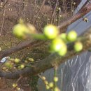 소소농장 이미지