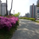 까치합동공인중개사사무소 이미지