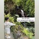 아기랑 무주 1박 2일 여행_무주 반디랜드, 무주 센트럴리조트 키즈룸