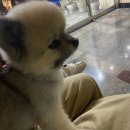 제주도 게스트하우스파티 빅썸 이미지