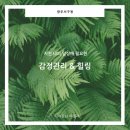 나비글로벌네트워크
