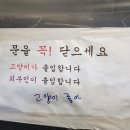 여주-0915 | 2023년 9월/10월 후기