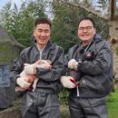 제주흑돼지 이미지