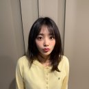 시연