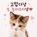 명가황칠장어