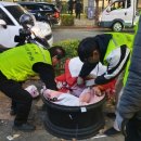 평택-평택-26 이미지