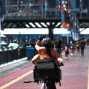 스마트글로벌 이미지