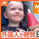 ​​​​​​​外国人がハマる日本のアイス！ 이미지