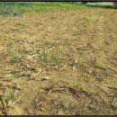 능북목장 이미지