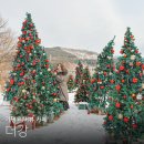 힐링타임 | 가평 북한강 카페 더강, 리버뷰와 커피로 힐링 타임 후기