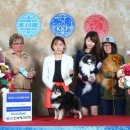 에버노블 이미지