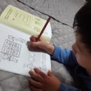 나래태양광발전소 이미지