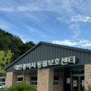 모찌댕 | 대전동물보호센터 두번째 봉사활동 후기 | 주말 오후 봉사 | 대전 유기견 보호 센터