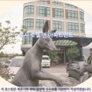 록시호텔 | 쿠칭 여행객 필독 록시 호텔 앤 아파트먼트 추천 후기