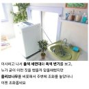 40년된 화장실 셀프 리모델링한 자취생 이미지