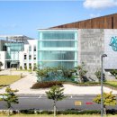 NLCS JeJu(노스런던컬리지잇스쿨) 이미지