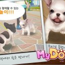 마이독스 이미지