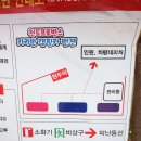 청도프로방스카라반캠핑카펜션