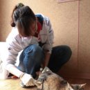 유기코리아 이미지