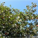 경희큰나무한의원 이미지