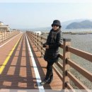 해안관광로 이미지