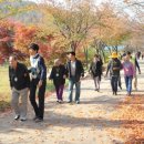 금강헤어아트 네이버블로그