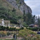 울릉도 카라반 1호 이미지