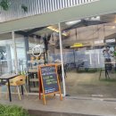 하이펫 애견샵 이미지