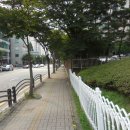 광개토대왕 광장 이미지