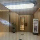난자채취 당일 후기, AMH 4.5(난소 20대 초반)인데 5개 채취됨