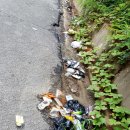 능안운동장 이미지