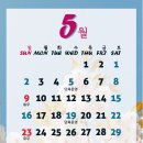 바디홀릭