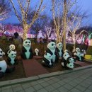 안산 별빛마을 애니멀 & 하트빌리지 빛축제 2018 이미지