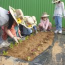 고정초등학교 이미지