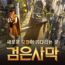 나나비펫 이미지