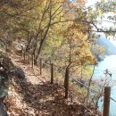 낙동강 남지개비리길(용산) 이미지