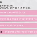 지수온누리약국 이미지