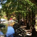 심천치유자연휴양림 이미지