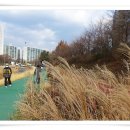 당현천주변 이미지